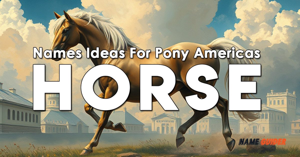 Names Ideas For Pony Americas Horse