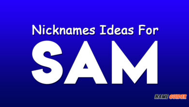 Nicknames Ideas for Sam