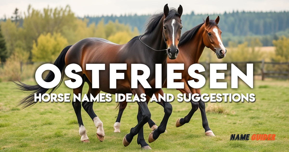 Ostfriesen Horse Names Ideas and Suggestions