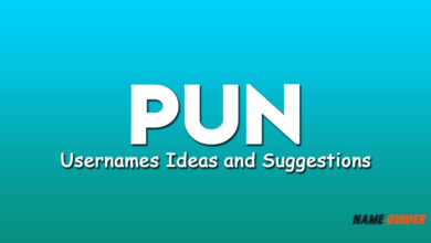 Pun Usernames Ideas and Suggestions