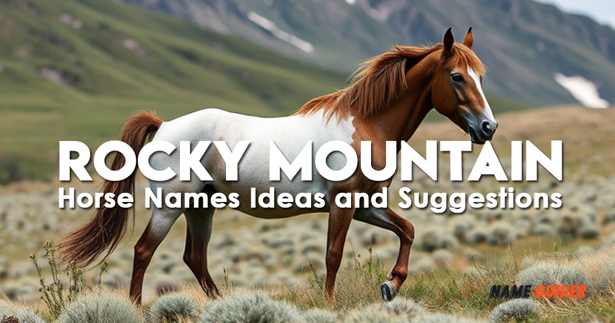 Rocky Mountain Horse Names Ideas and Suggestions