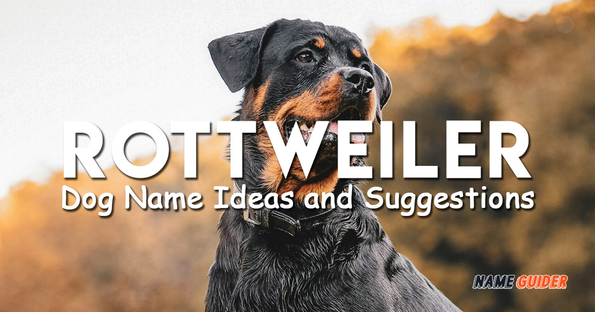 Rottweiler Dog Name Ideas and Suggestions