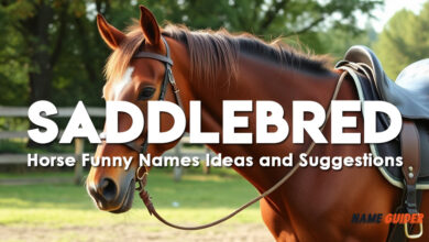 Saddlebred Horse Funny Names Ideas and Suggestions