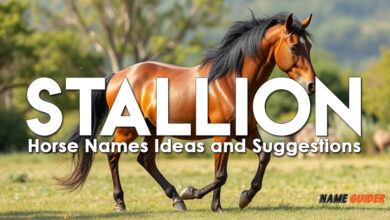 Stallion Horse Names Ideas and Suggestions