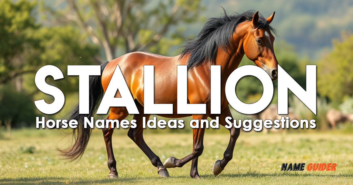 Stallion Horse Names Ideas and Suggestions