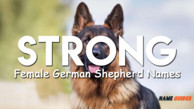 Strong Female German Shepherd Names