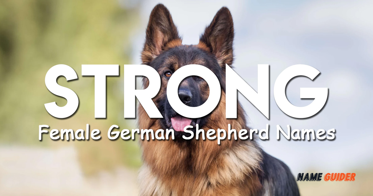 Strong Female German Shepherd Names