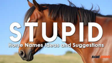 Stupid Horse Names Ideas and Suggestions