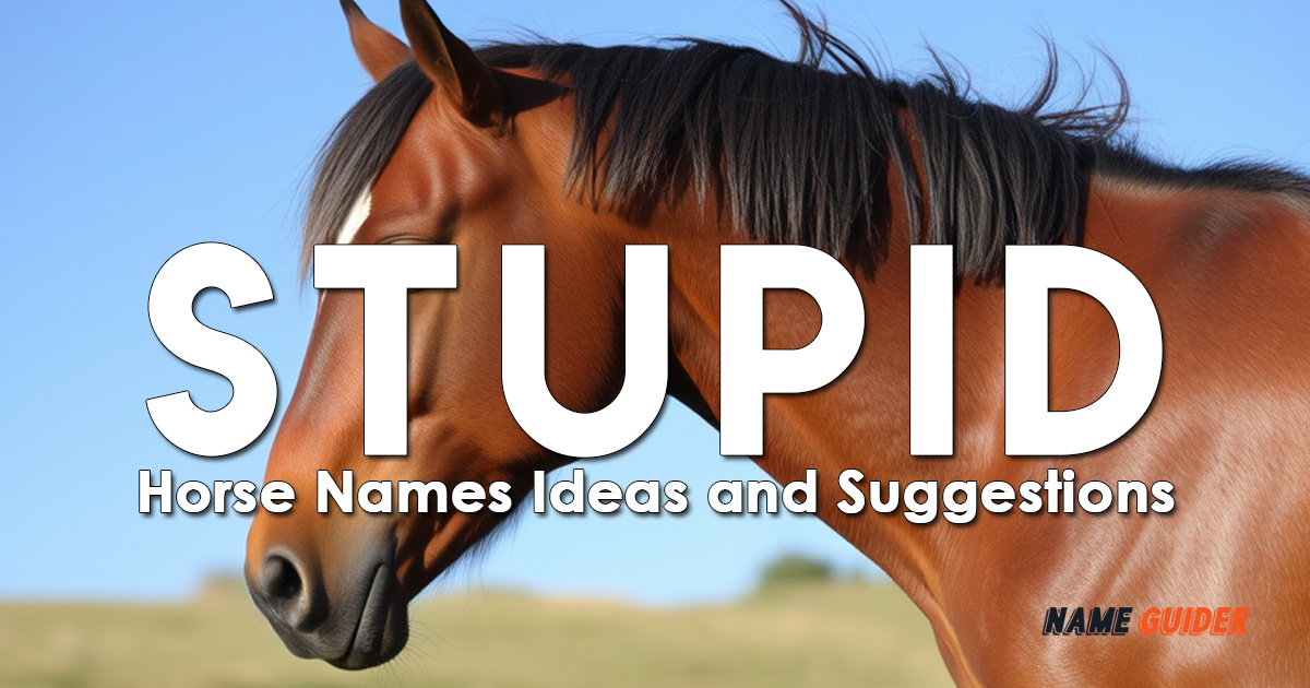 Stupid Horse Names Ideas and Suggestions