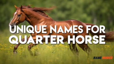 Unique Names For Quarter Horse