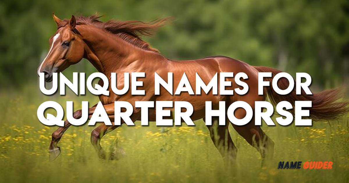 Unique Names For Quarter Horse