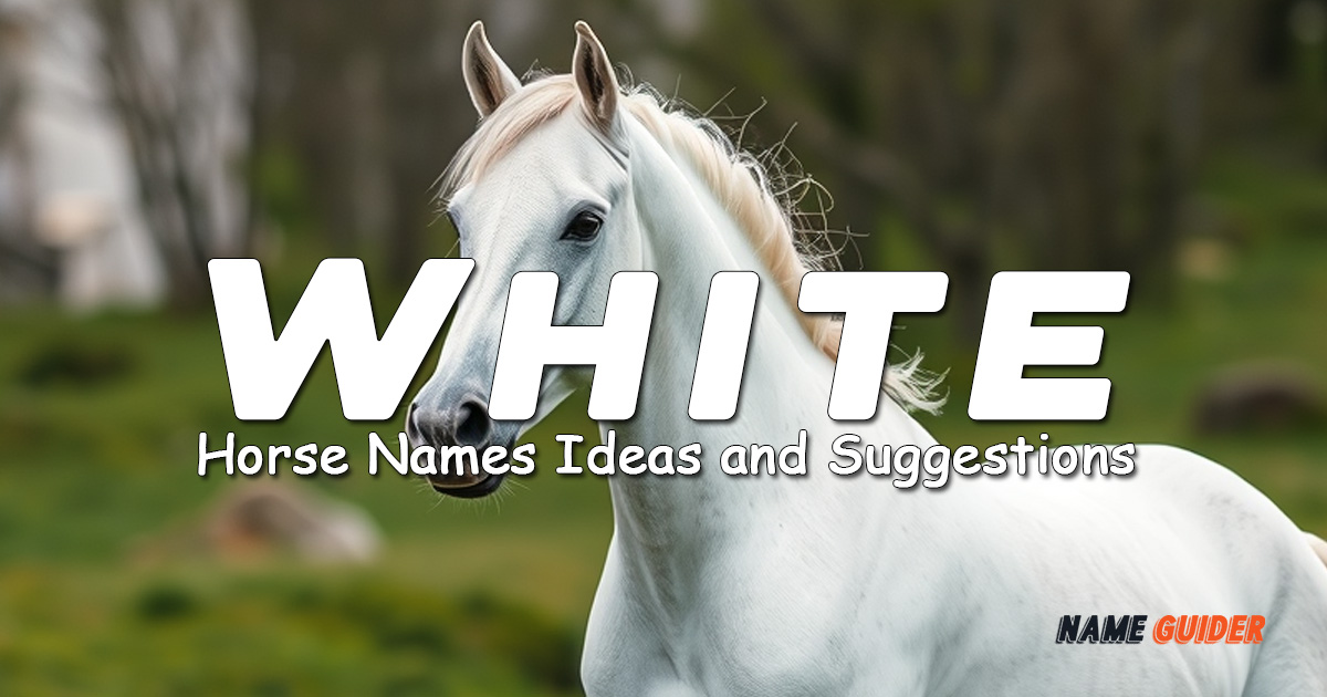 White Horse Names Ideas and Suggestions